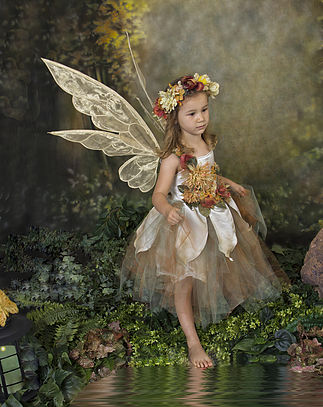 Fairy Portrait Fundraising