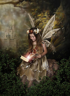 Fairy Portrait Fundraising