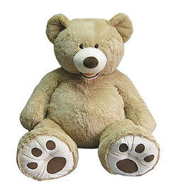 Fairy Portrait Fundraising