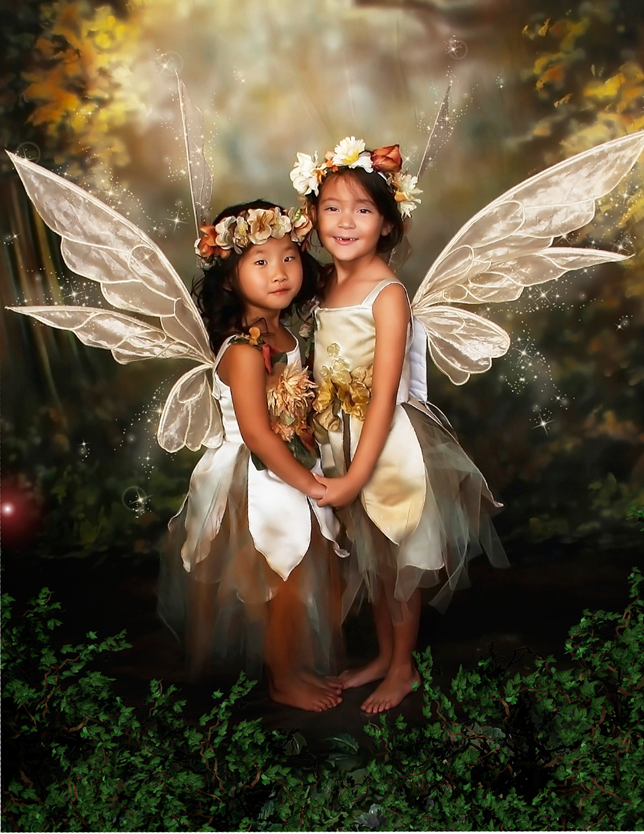 Fairy Portrait Fundraising